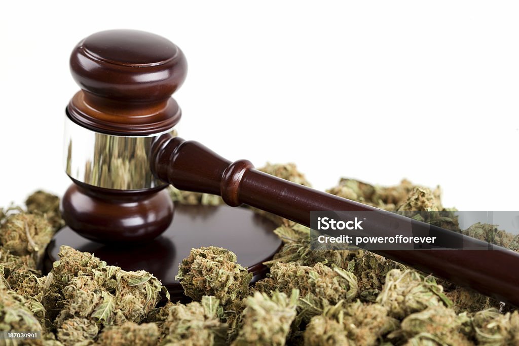 Cannabis legalizzazione - Foto stock royalty-free di Pianta di cannabis