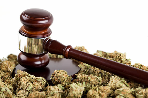 Marijuana Legalization Marijuana and gavel conceptual image for legalization of marijuana for medical or personal use. Also works for the criminal aspects of the drug. legalization photos stock pictures, royalty-free photos & images