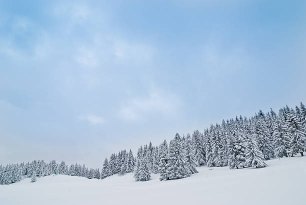 istock Winter Landscape with Snow and Trees 187035166