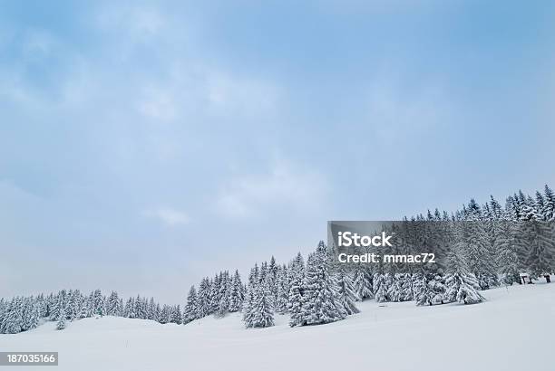 Paisagem Do Inverno Com Neve E Árvores - Fotografias de stock e mais imagens de A nevar - A nevar, Ajardinado, Alpes Europeus