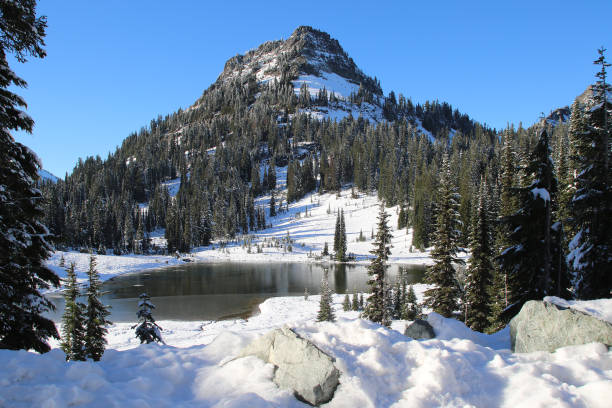 istock Tipsoo Lake at Mt Rainier Washington 1870352121