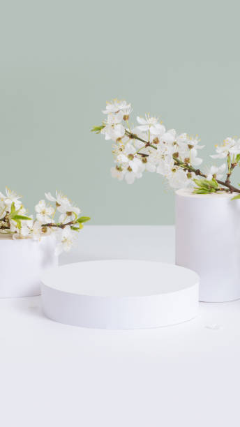istock Empty podium or pedestal with spring bloom. Spring mock up for cosmetic products 1870364805