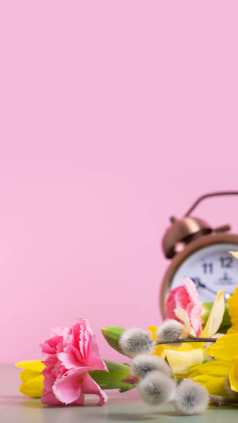 istock Spring flowers with defocused alarm clock. Spring time, daylight savings concept, spring forward. Copy space. 1870367987