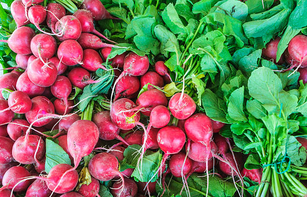 istock Farmer's Market Radish 187036802