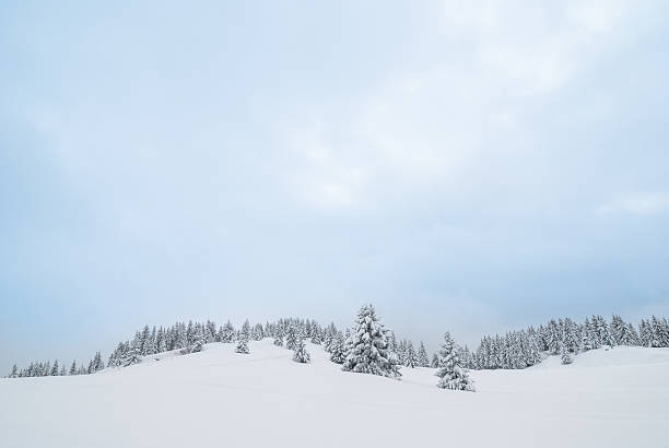 istock Winter Landscape with Snow and Trees 187036803