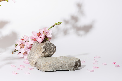 Empty podium or pedestal from nature stone decorated with cherry blossom twigs. Cosmetic mock up.