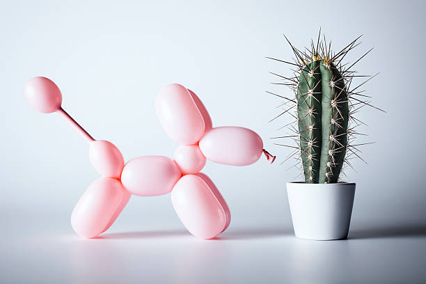 perro y cactus, humor raro emoción de globos aerostáticos - dolor fotos fotografías e imágenes de stock