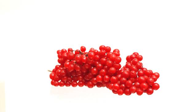 istock Red viburnum berries on a white background. 1870375792