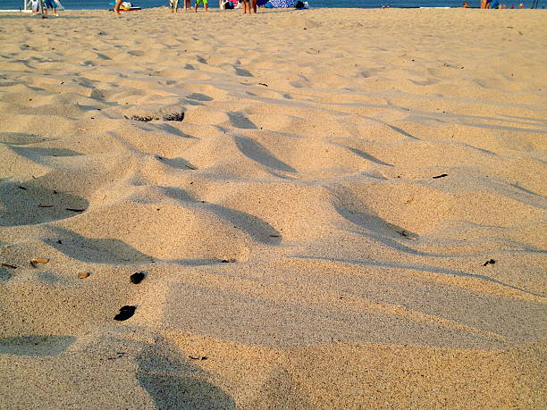 Sandy Beach stock photo