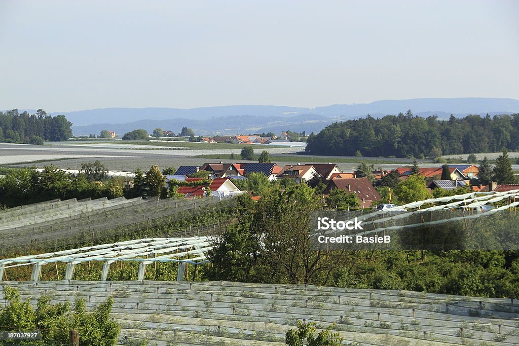 Mit ihren Apfelgärten und Weingütern - Lizenzfrei Apfelbaum Stock-Foto