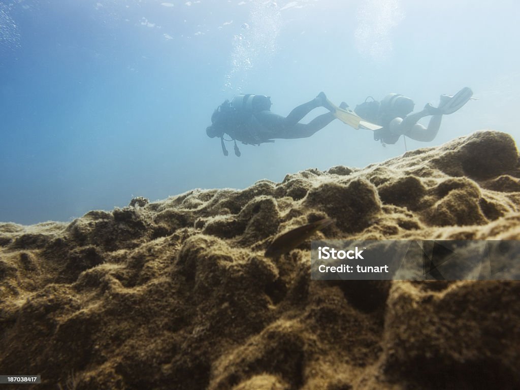 Buceo - Foto de stock de Buceo con equipo libre de derechos