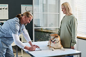 Vet Doctor Writing Prescription for His Canine Patient