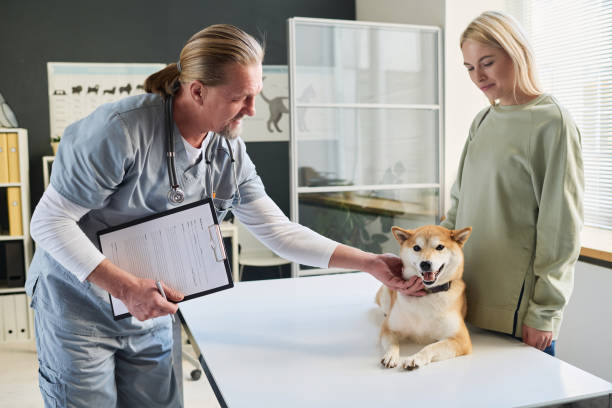 istock Veterinarian Expressing Kindness Towards His Dog Patient 1870393100