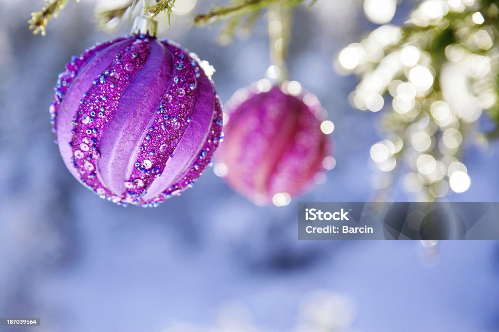 Christmas bauble - Photo de Aiguille - Partie d'une plante libre de droits