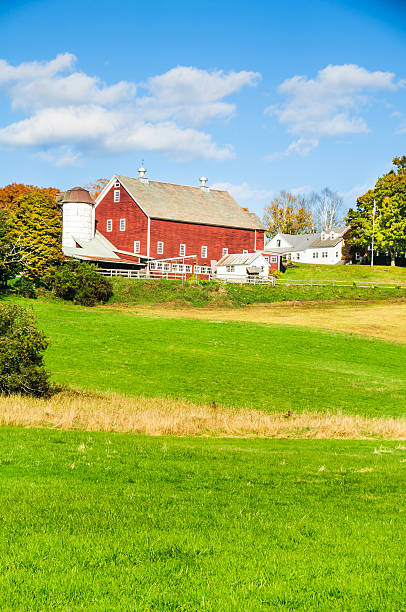 Hillside Farm A red barn with a white silo and farmhouse nestled on a hillside near Woodstock, Vermont. red barn house stock pictures, royalty-free photos & images