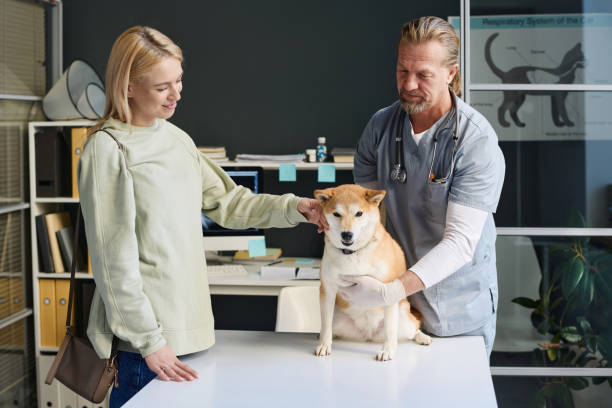 istock Dog and Its Owner at Veterinarian Appointment 1870396249
