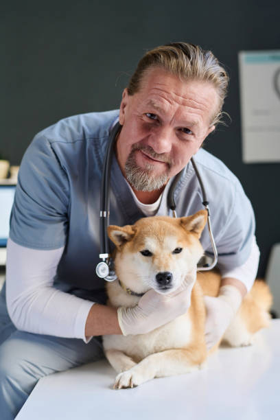 istock Veterinarian Hugging His Shiba Inu Patient 1870396775