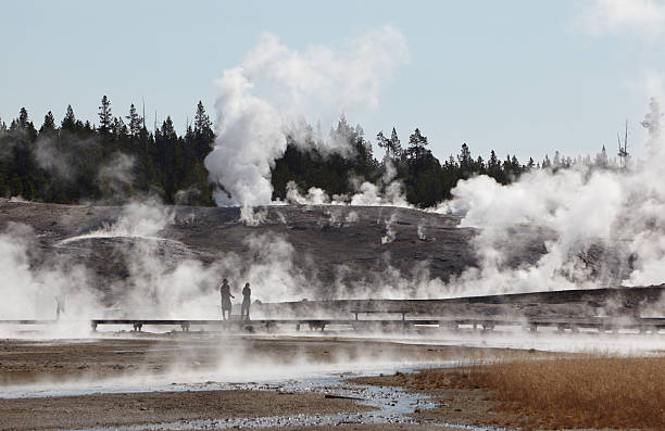 Yellowstone : Norris Geyser Basin Steam and boardwalk at famous travel destination. norris geyser basin photos stock pictures, royalty-free photos & images