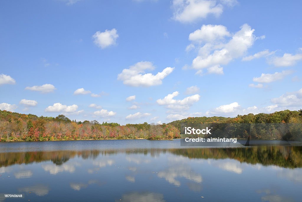 Lake Frances w Nescopeck State Park - Zbiór zdjęć royalty-free (Park stanowy)