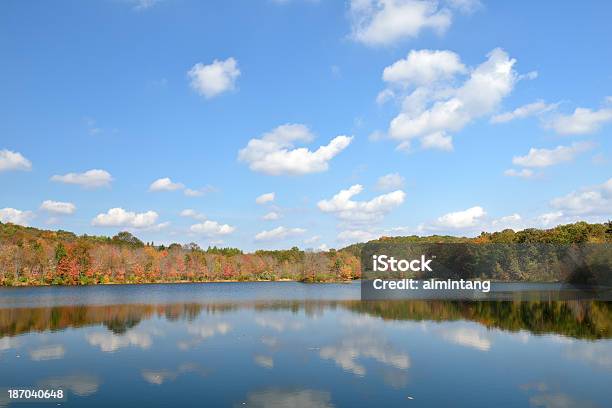 Lake Frances W Nescopeck State Park - zdjęcia stockowe i więcej obrazów Park stanowy - Park stanowy, Bez ludzi, Drzewo