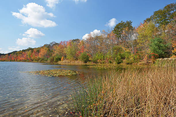 istock Lake Frances in Nescopeck State Park 187040655