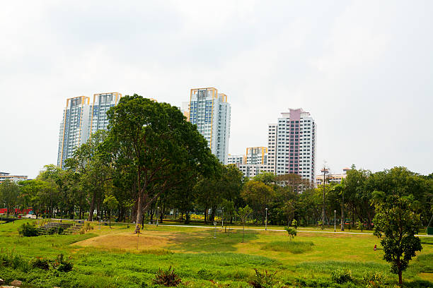 istock Living at Bishan park 187040796