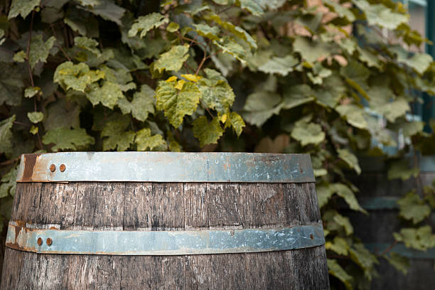Antique wooden well under viburnum tree, Ukraine