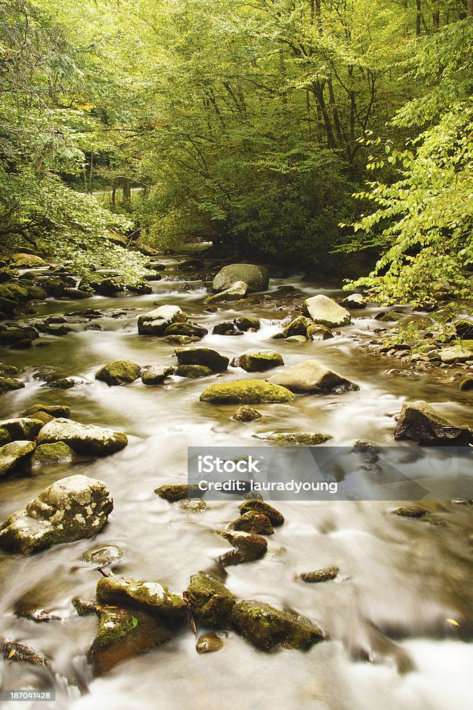 Abrams Creek Great Smoky Mountains National Park - Lizenzfrei Abgeschiedenheit Stock-Foto