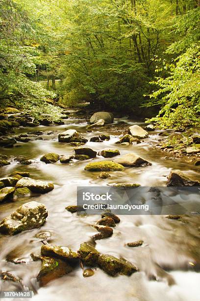 Abrams Creek Great Smoky Mountains National Park Stockfoto und mehr Bilder von Abgeschiedenheit - Abgeschiedenheit, Alles hinter sich lassen, Ansicht aus erhöhter Perspektive