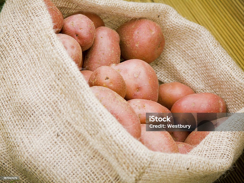 Rooster ziemniaki - Zbiór zdjęć royalty-free (Czerwony ziemniak)