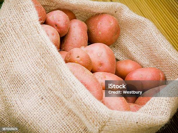 Rooster Ziemniaki - zdjęcia stockowe i więcej obrazów Czerwony ziemniak - Czerwony ziemniak, Fotografika, Horyzontalny