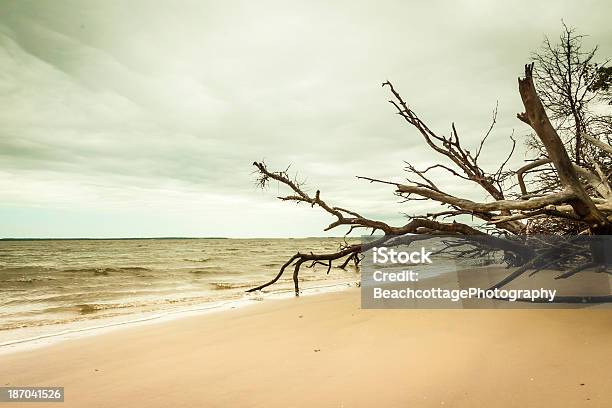 지점 Sea 0명에 대한 스톡 사진 및 기타 이미지 - 0명, 모래, 물