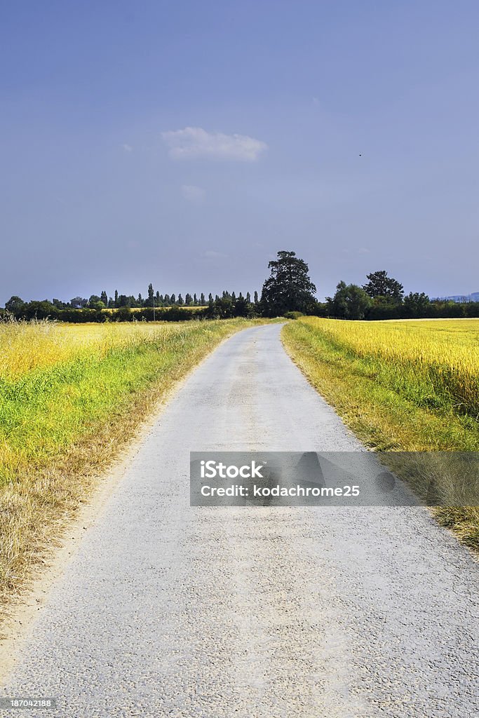 Ruta de - Foto de stock de Agricultura libre de derechos