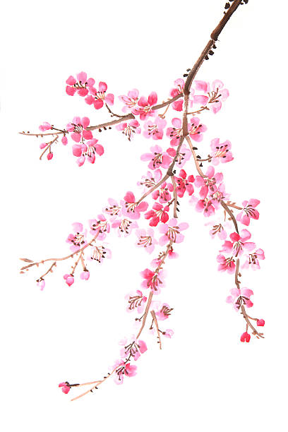 pintura chinesa de flores - china pattern chinese culture paintings - fotografias e filmes do acervo