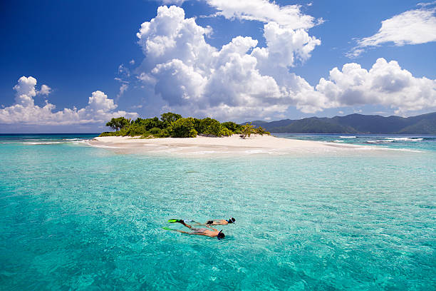 couple en lune de miel plongée avec masque et tuba en île tropicale dans les caraïbes - snorkel photos et images de collection