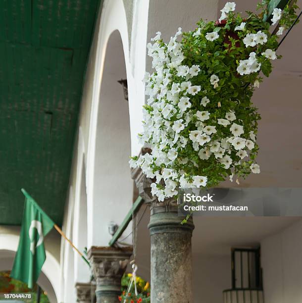 The Portico Of Careva Dzamija Stock Photo - Download Image Now - Abstract, Architectural Column, Architectural Feature