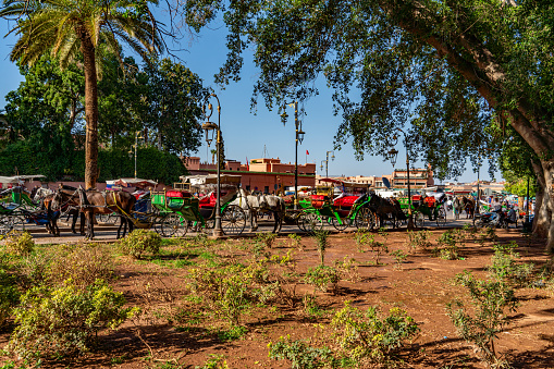 Jemaa el-Fnaa viwe, horse carriages are waiting for tourists at medina of Marrakech, Morocco.
