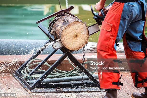 Man Cutting A Tree Trunk With His Chain Saw Stock Photo - Download Image Now - Alaska - US State, Lumberjack, Chainsaw