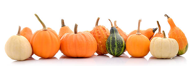 istock Squash family in panorama 187045046