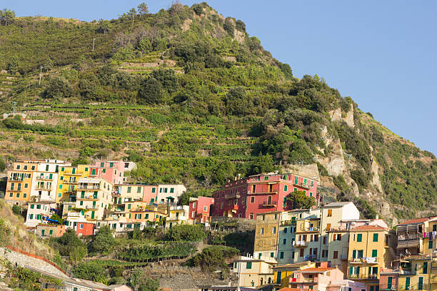 istock Manarola on the Cinque Terre, Italy 187045553