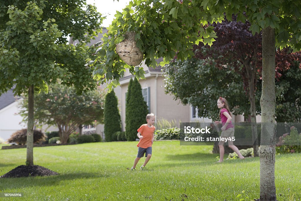 Spielen Sie in der Nähe der Gefahr - Lizenzfrei Baum Stock-Foto