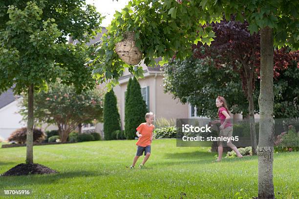 Spielen Sie In Der Nähe Der Gefahr Stockfoto und mehr Bilder von Baum - Baum, Bedrohung, Bewegung
