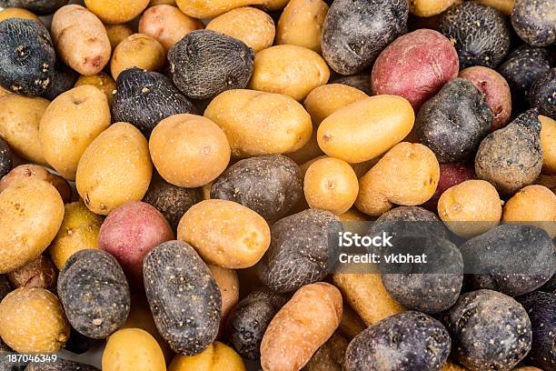 Peruanische Kartoffeln Hintergrund Stockfoto und mehr Bilder von Bildhintergrund - Bildhintergrund, Bildkomposition und Technik, Bunt - Farbton