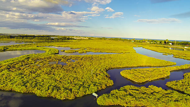 istock aerial view of a pond / marsh area 187046602