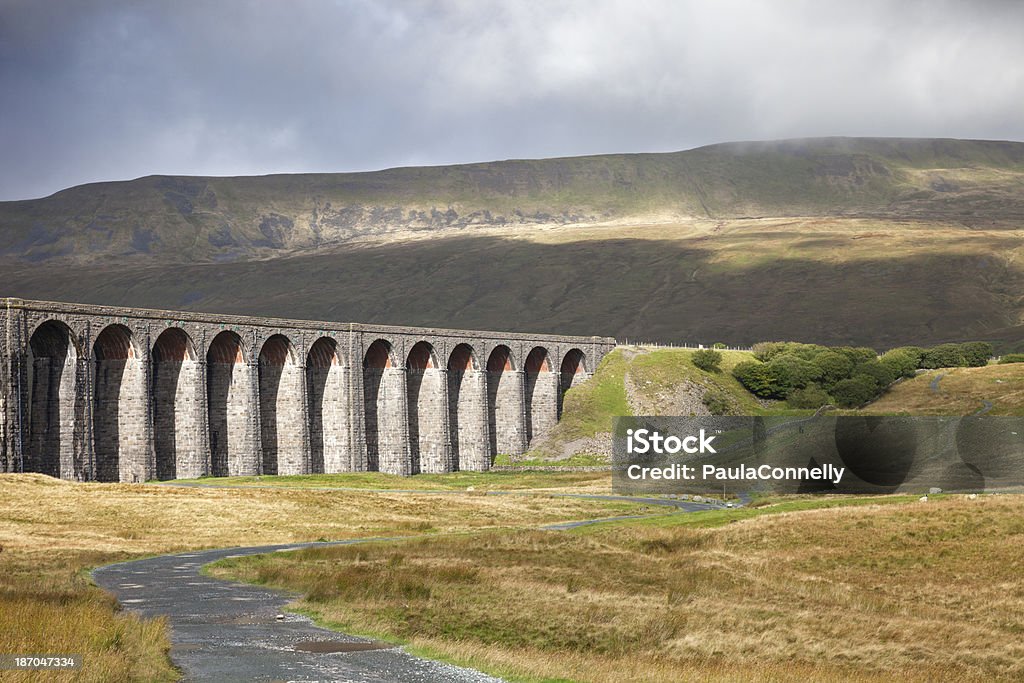 Viaduto Ribblehead e Whernside - Royalty-free Viaduto Ribblehead Foto de stock