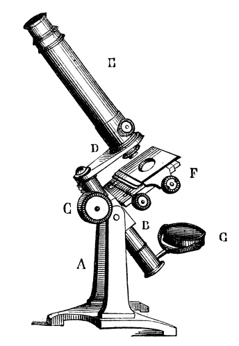 Antique illustration of microscopehttp://www.ilbusca.com/Lightbox/anti_eng.jpg