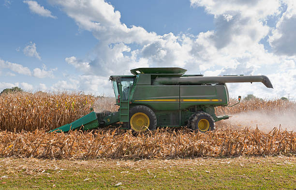 Combine Harvesting a Corn Field The Corn Kernels are collected in a hopper while the stalks and husks get spit out the back end.  All logos have been removed. corn crop stock pictures, royalty-free photos & images