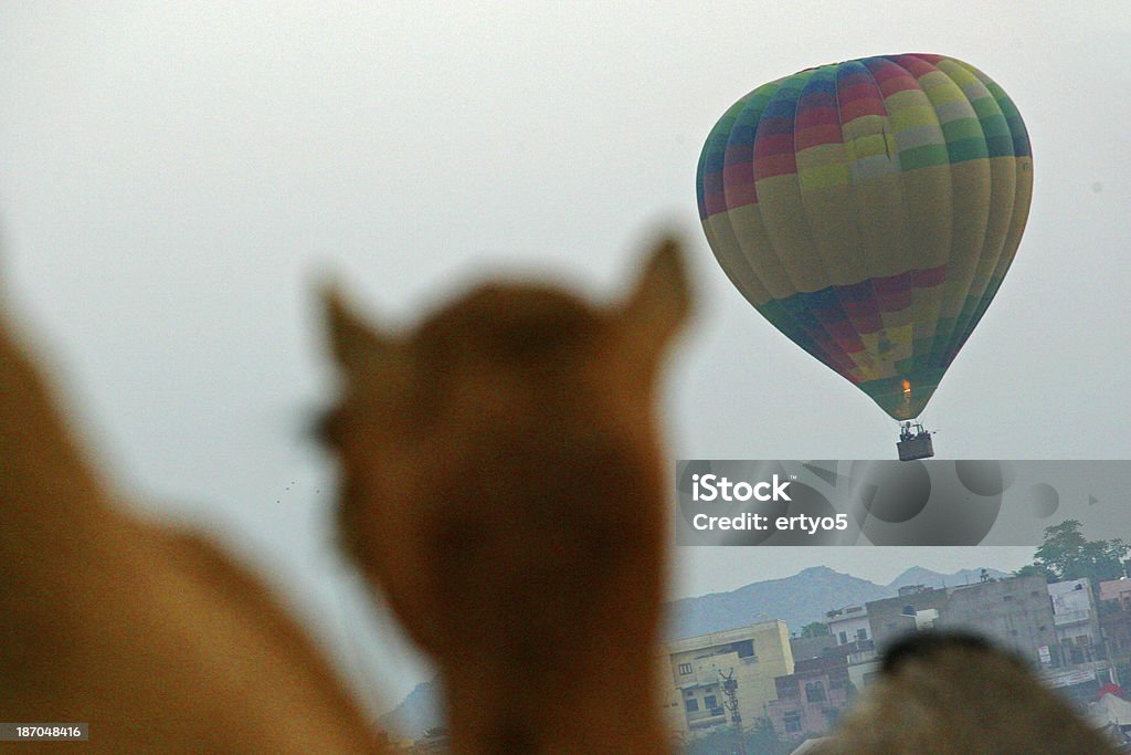 Marché aux dromadaires - Photo de Montgolfière libre de droits