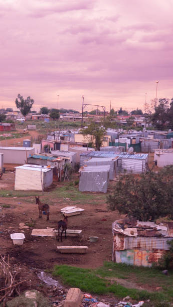 istock View of Soweto, famous township 1870486802