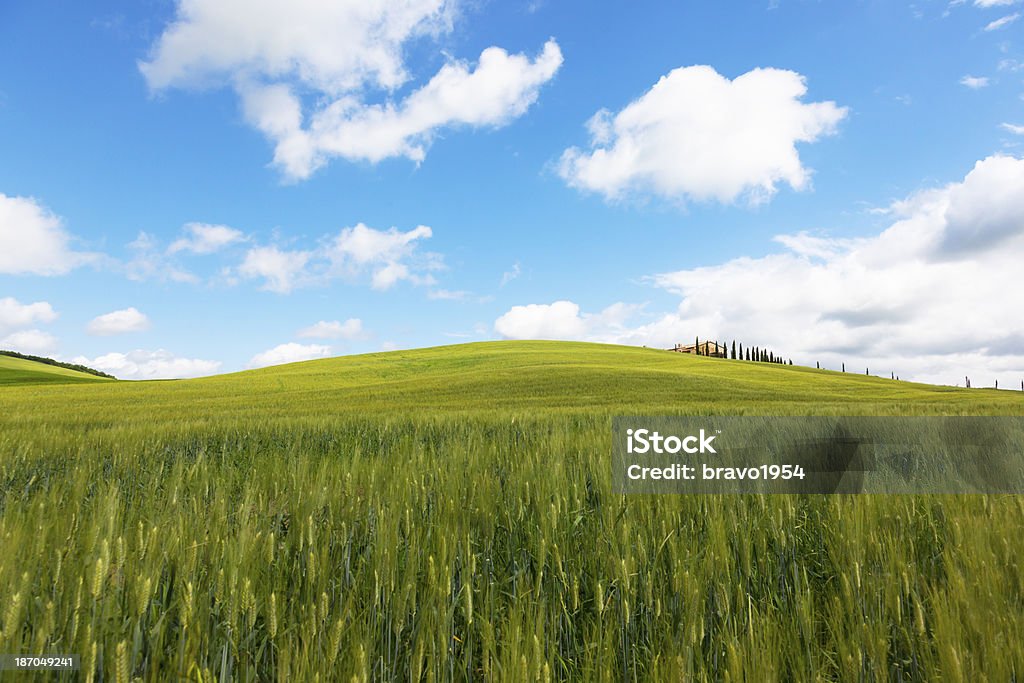 Tuscany - Lizenzfrei Agrarbetrieb Stock-Foto